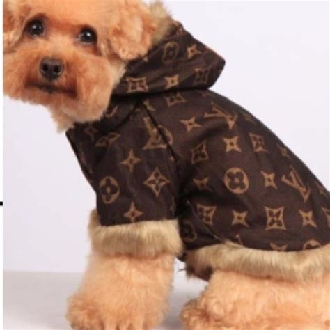 louis vuitton dog raincoat